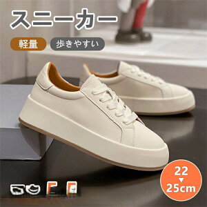Xj[J[ fB[X Y zCg gAbv JWA ʋCQ Cq[V[Y 5.5cmgUP V[Y V[NbgV[Y ʋv   킢 lC C  r