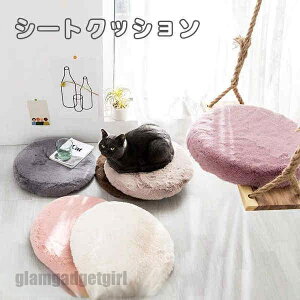 V[gNbV ی` ~  g OJo[ ֎q V[g Ɨp ItBXp ԗp wZ ᔽ zc K  8TYPE v[g V