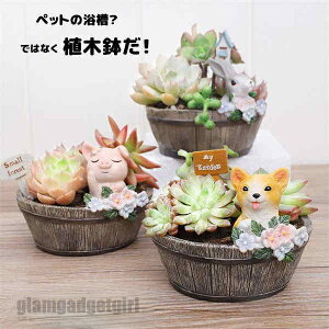 Aؔ v^[ ~j   RPE ۃE    T{e A 񂹐A u CeA 킢  eE e  K[fjO ObY G v[