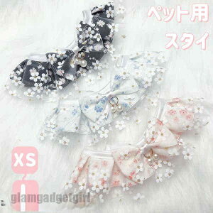 ybgpX^C   L ^ L  `[J[ ANZT[  t [X ߂ ʐ^B蓹 LOtHg S[WX GKg ybgpi v