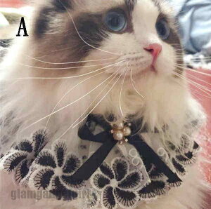 [փybgX^C ru [X | 悾ꂩ { F ^ ^  P   [Lbvp Lp p lR Ck  ybgG S 