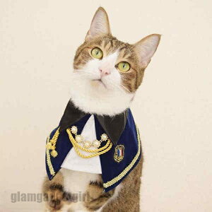 ybgp|  L  { [X `[J[ ANZT[   t ߂ ʐ^B蓹 LOtHg  ybgpi Be v[g V