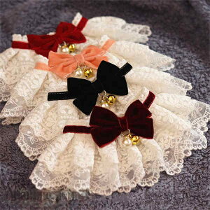 ybgp| ^ L  `[J[ ANZT[  t [X ߂ ʐ^B蓹 LOtHg S[WX GKg  ybgpi v[g V