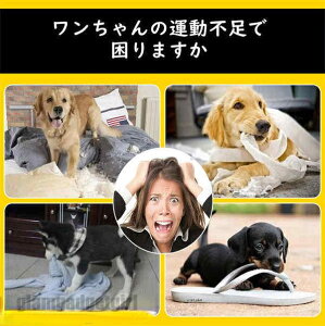 tCOfBXN   ~  2Zbg a15cm ybg ptCOfBXN ނ V XgX _炩  ^ y U x  Vׂ 