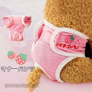 p Tj^[pc }i[pc 2_Zbg 4color p }i[EFA D  pi ނJo[  PApi ppEFA U o ybgG  ybgp q