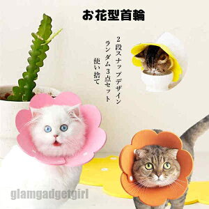 4TCYI GUxXJ[   \ rߖh~ F_3_Zbg wXPA pEFA ĝ GUxXJ[ Lp p \tg _炩 y  lR Ck 