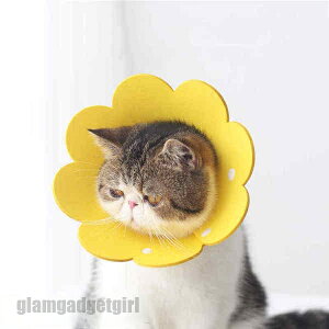 4TCYI GUxXJ[   \ rߖh~ F_3_Zbg wXPA pEFA ĝ GUxXJ[ Lp p \tg _炩 y  lR Ck 