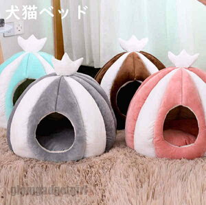 Lxbh Op p sp LnEX H ~ A Lpxbh L h[^ xbh   _炩  ~ ^ Lbg ybg p NbVt Lxbh