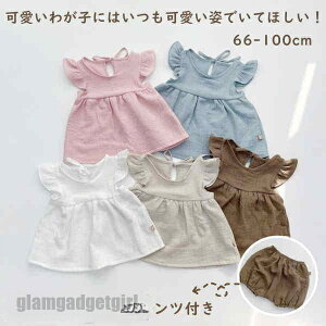 xr[ s[X pc Zbg  o| m[X[u qǂ Vv Ԃ c xr[ Rbg xr[EGA  킢 ʉ oYj t ĕ  ̎q Zbg