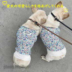  L ybg hbOEFA t  H tp ėp Hp 30cm 36cm 40cm 45cm 50cm 55cm 60cm ̕  L  ̑݊Abv ̉炵iĂ V