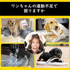 tCOfBXN   ~  5Zbg ނ _F _J[ ybg ptCOfBXN V XgX _炩  ^ y U x