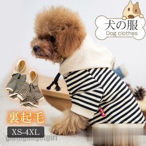    ̕ ybgp H~ XgCv ybg ` ^ ^ L O ybgEFA JWA AEghA  v[g Mtg 蕨 zCgf[ 