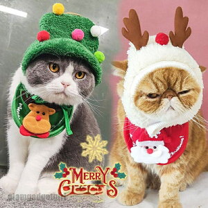  ybg NX}X H ~ hbOEFA giJC  ߑ ybgEFA ybgObY p L p[eB[ RXv ^ ʐ^ f v[g Mtg V