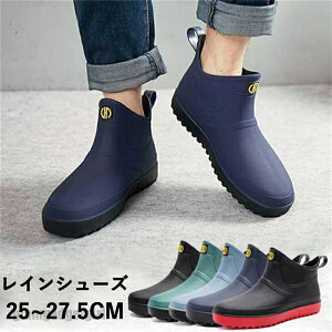 V CV[Y Y C Cu[c  JWAV[Y AEghAʋ ƌC ނ  Jp h 䕗 ~J΍ ̓ v[g Mtg