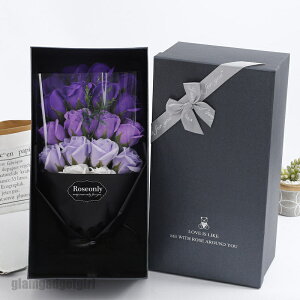 V \[vt[ ԑ u[P \[vt[Mtg ͂Ȃ Ό J[l[V o  {bNX  t[  v[g Mtg zCgf[ ̓ ̓ hV