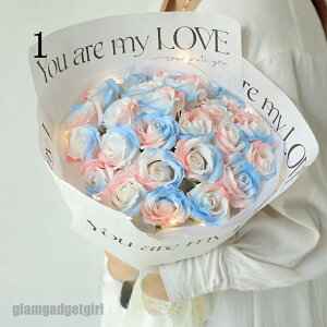 V \[vt[ ԑ u[P \[vt[Mtg ͂Ȃ Ό J[l[V o  {bNX  t[  v[g Mtg zCgf[ ̓ ̓ hV