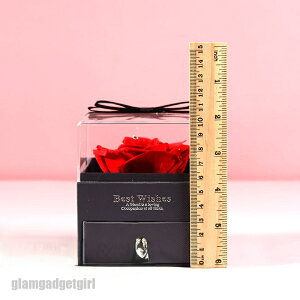 V \[vt[ ԑ u[P \[vt[Mtg ͂Ȃ Ό J[l[V o  {bNX  t[  v[g Mtg zCgf[ ̓ ̓ hV