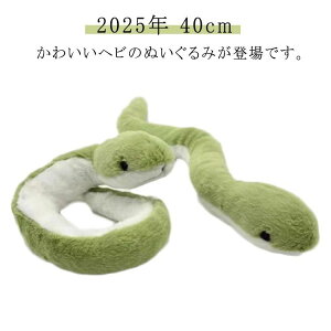 킢 x xLbg wr ʂ  u N ߘa7N ւ  v[g 2025N CeA a }XRbg   wr lC  ւ ʂ 40cm  VN