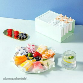 新生活 氷 アイスの型 製氷 製氷皿 アイスバー 製氷器 アイス容器 メーカー スティック DIYモールド アイスキャンディ 夏 アイス 氷モールド 型 高耐久 パーティ アイスキャンディ 製氷皿 取出し簡単