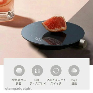 V 0.1g fW^ fW^fW^XP[ XP[ v x V }`P 3kgv 2kg V OX\ V 0.1g  NbLOXP[ Lb`fW^XP