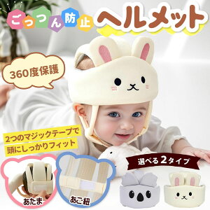 xr[ Ԃ wbg wbhK[h ]|h~NbV bVʋC  xr[wbhK[h h~ 360xی  ETM RA 