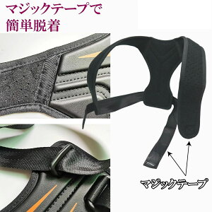 pxg Lwxg Lw ˂w   w؋xg LwT|[^[ Lwxg pT|[^[ p xgP T|[^[ ObY ␳ fB[X Y 