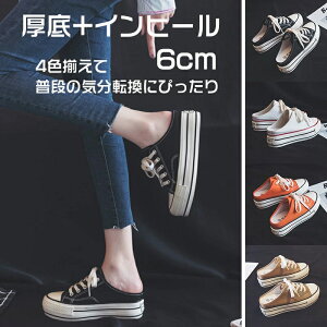   Xj[J[ ƂȂ Xj[J[ fB[X Cq[ T_ ₷ wlC ƂȂXj[J[  T{ Xj[J[ Xb| LoX5`6cm up ub