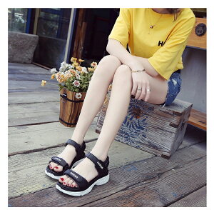  T_ K[Y jo[T fB[X ̎q V[YC  p X|[cT_ r[`T_ AEghA q[  ubN  zCg x[W 22.5-25cm