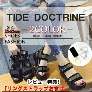 T_ fB[X ₷ X|[cT_  xN T_ 5cm RtH[g rT_  r[`T_ y ʋΒʊw w C X|[c AEghA J