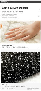 O 􂦂 J[ybg 80×120cm 200×300cm ٌ` I[V[Y k  O}bg OJ[ybg ~ zbgJ[ybgΉ ėp ~p g[Ή EHbVu O~  