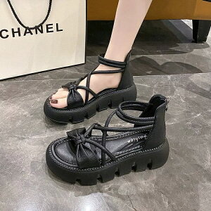 T_  fB[X X|[c T_ OfBG[^[T_ 5.5cmq[ t ₷ r tbg T}[T_ gAbv r obNt@Xi[ C V