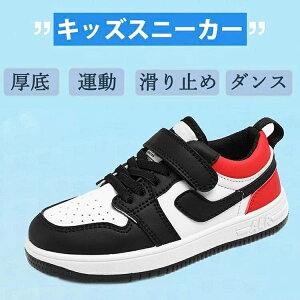 Xj[J[ LbY V[Y WjA q C jOV[Y ̎q j̎q ʊw wZ wZ o  }WbNe[v q ʊw ʉ t@bV ^ V[Y  A