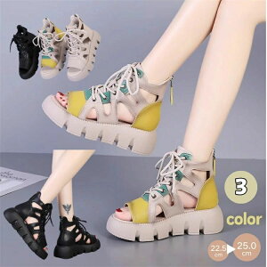 T_ fB[X y Ȃ OfBG[^[T_ I[vgD X|[cT_ ₷ tbg r T_ ҂ݏグ AEghA Xj[J[T_ 