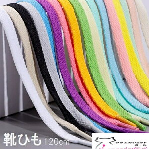  ^C V[Y Xj[J[ n q ^ CR V[[X fB[X Y 2{Zbg 120cm CЂ