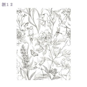 ǎ V[ CV[ CNV[g  ǎV[g ̂t JbeBOV[g EH[y[p[ k ԕ g o CeA ͗lւ p ze Ǐ  