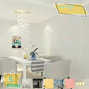 10Zbg ǎV[ ̃K 3D L DIY \邾 C΍  hJr pl qǂی삷 SV[g yʃK k    L Lb` rOgC