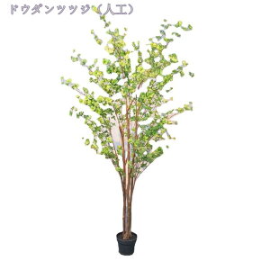 tFCNO[ ϗtA tFCN lHϗtA ^ CeA A  j Vv ItBX  rO  sv ͗lւ  p G  傫 l