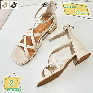 fB[X T_ u[c [q[ u[cT_ obNWbp[ OfBG[^[T_  V[gu[c ₷ `L[q[ 3cm 芴 q[T_ I[