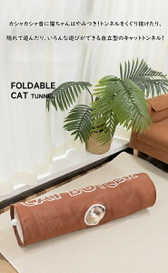猫トンネル 折りたたみ ネコ キャットトンネル おもちゃ ベッド 猫遊宅 ストレス発散 運動不足 対策 猫用おもちゃ プレイトンネル 中大型猫使え 一人遊び 長い 洗える ペット玩具 猫遊び 穴