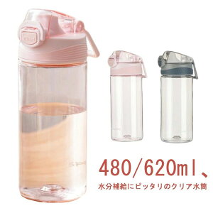   vX`bN K AEghA 620ml {g 480ml EH[^[{g Vv 킢 e  Lv W NA  }C{g 620ml 􂢂₷ X|[chN sN