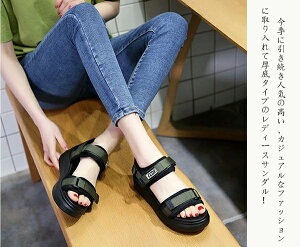 X|[cT_ T_ X|[cT_ fB[X X|T EFbW\[ ₷ ɂȂ y h y JWA ăr[T Xj[J[T_ Xgbv 