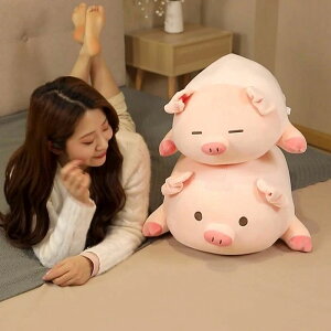 50cm lC Mtg u^  ʂ    _炩 q ޏ 킢   YQ  j v[g RR