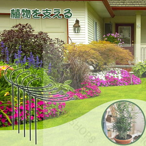 10{Zbg Ax ~` |x E\ AT|[g Ԃ 鐫A ϗtx K[fjOpx Ԏx _Ɨp |p