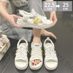 X|[cT_ fB[X Xj[J[T_  r[`T_ s y T_  RtH[gT_ ɂ T_ r X|T bV ₷