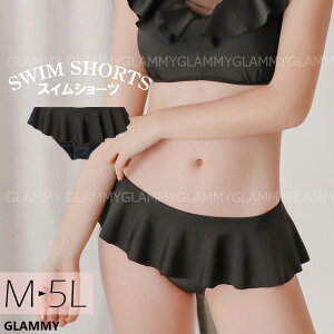 y{ ēׁz pĉ Pi fB[X 傫TCY M L LL 3L 4L 5L V[c nCEGXg {bNX Xpbc rLjV[c rLjpc V[ĉ {g  u