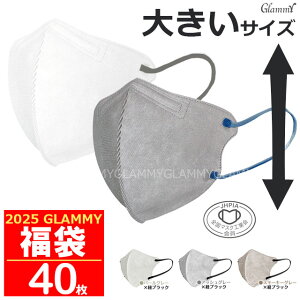 傫TCY 3D }XN  y 40z }XN 傫 oCJ[ sDz  3D J[ zCg  O[ ĝ rWlX ԕ S}XNHƉ l j Y  f