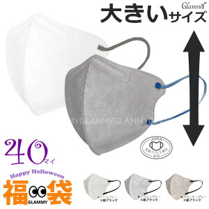 傫TCY 3D }XN  y 40z }XN 傫 oCJ[ sDz  3D J[ zCg  O[ ĝ rWlX ԕ S}XNHƉ l j Y  f