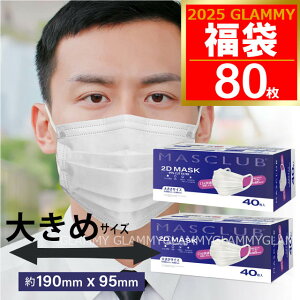 傫TCY }XN  2025 y 80z傫 sDz }XNu 2D MASCLUB v[c 190mm K LЂ 99%JbgtB^[ ԕ 3w\ J[ zCg ĝ l j