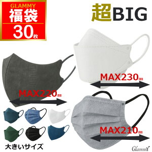 �傫���T�C�Y �}�X�N ���� 2026 �y �������� 3�p�b�N 30�� �z �s�D�z �_�C�������h�^ �v���[�c ���� 3D KN95 �傫�� �r�b�O�T�C�Y 200mm 215mm 230mm �u���b�N �z���C�g �l�C�r�[ �O���[ �u���[ �� �� ��