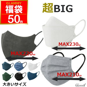 �傫���T�C�Y �}�X�N ���� 2026 �y ��������50�� �z �s�D�z �v���[�c ���� 3D �傫�� �r�b�O�T�C�Y 200mm 215mm 220mm�u���b�N �z���C�g �l�C�r�[ �O���[ �u���[ �� �� �ԕ��� �΍� �r�W�l�X ��l �j��